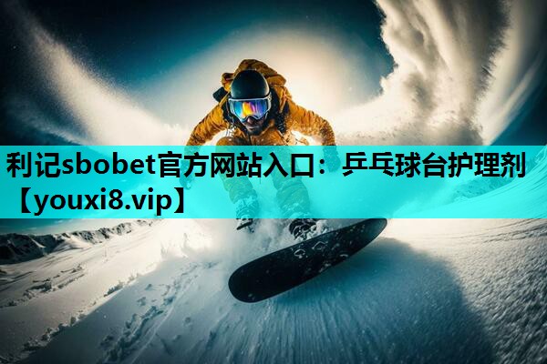 乒乓球台护理剂