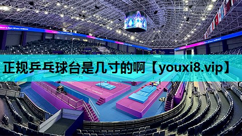 正规乒乓球台是几寸的啊