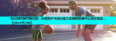 利记SBOBET网页版：标准的乒乓球台是几米潮阳体育中心项目现场…