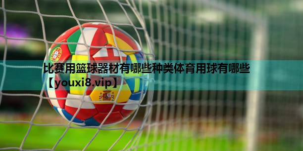 比赛用篮球器材有哪些种类体育用球有哪些