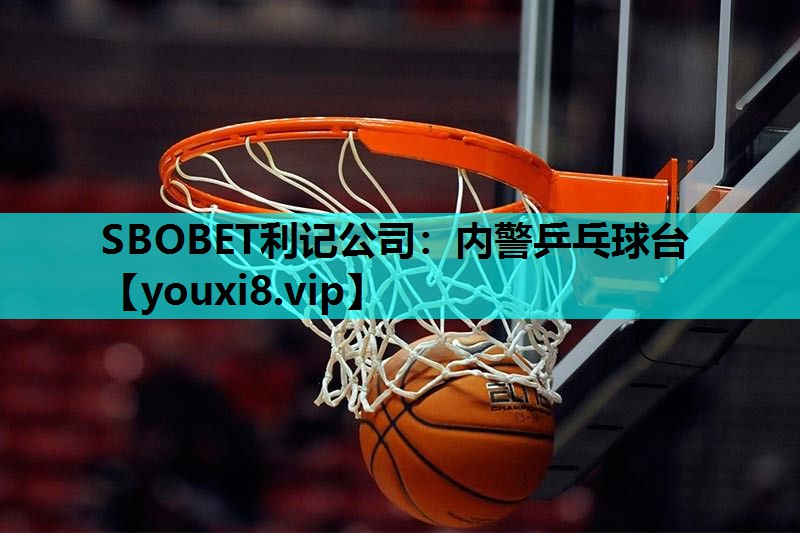 内警乒乓球台 内警乒乓球台