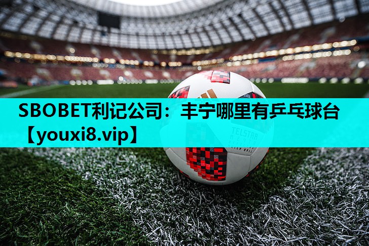 丰宁哪里有乒乓球台 丰宁哪里有乒乓球台